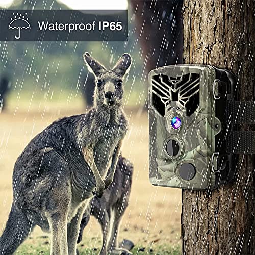 WLAN Wildkamera 1080P 20MP Mit Nachtsicht Bewegungsmelder IP65 Wasserdicht, 120° Weitwinkel, 940nm IRLEDs und… – Bild 6