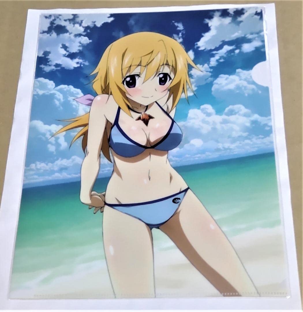 Amazon.co.jp: インフィニット・ストラトス シャルロット