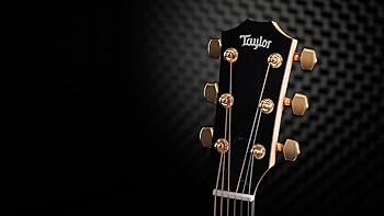 Amazon | Taylor 50th Anniversary 217e-SB Plus LTD アコースティック