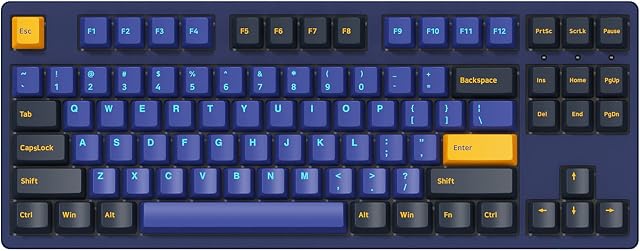 Akko 3087 Horizon Mechanical Gaming Keyboard 87 Keys 100% Anti-Ghosting with PBT Doubleshot Keycaps, OEM Profiles, Rose Switch, TKL Gaming Keyboard for PC