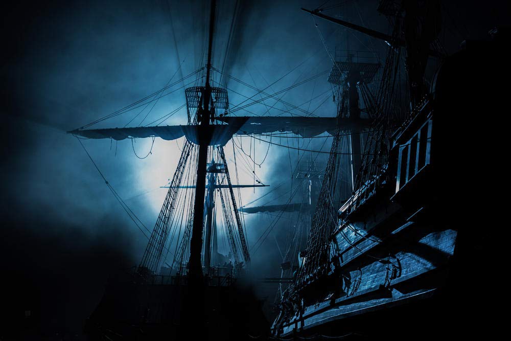 Black Sails - L'intégrale de la série (Saisons 1 à 4)