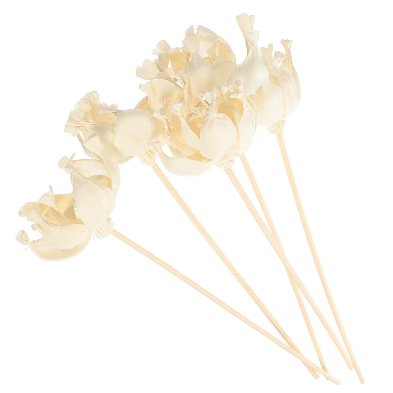 Amosfun 5pcs Natural Dried Flower Diffuser Sticks for Home Fragrance Decorative Sticks Relaxation and Create Serene Atmosphere