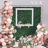 🌸【ANWENDUNGEN】: Wir lieben dieses Frühlingsrot-Set, das perfekt für Ihre Nachmittagstee-Partys geeignet ist! Das hübsche in Pink gemischt mit dem Chromgold verleiht jedem Anlass ein Gefühl von Luxus und Weiblichkeit. Fügen Sie dieses bezaubernd süße Set zu einem Geburtstag, einer Brautdusche, einer Junggesellenparty, einer Junggesellenparty, Promotionen usw. hinzu!