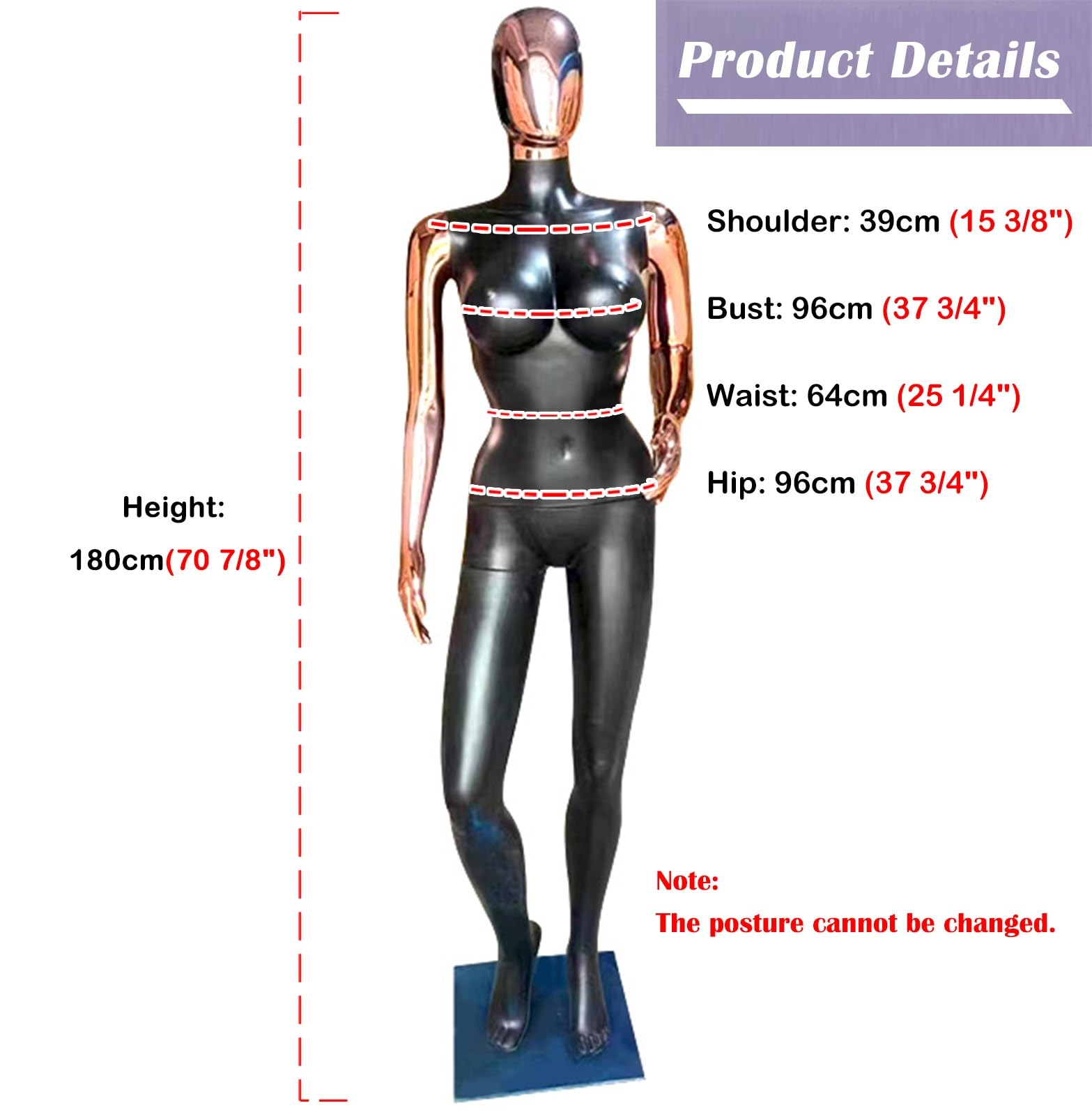 Amazon.com: Innovz Plus Size Mannequin Female Curvy Full Body
