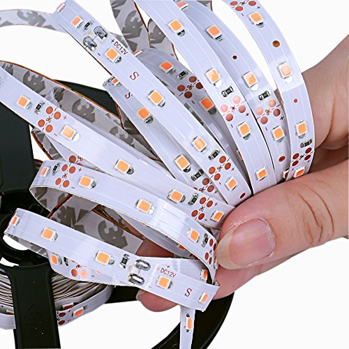 Favolcano Dc 12V 5M 300 Leds Smd 3528 Ribbon Flexible Led Strip Light Non-Waterproof Purple + 2.1 X 5.5Mm Dc Power Female Plug Jack Adapter Connector Plug #TOP2