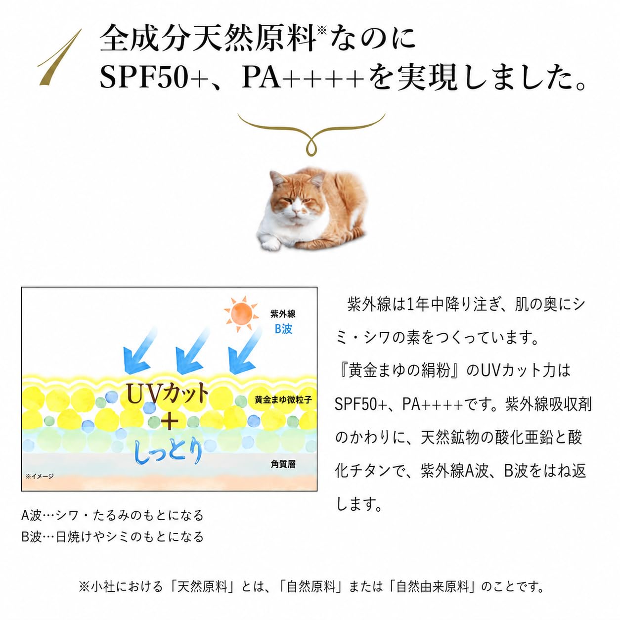 Amazon.co.jp: 通販生活 黄金まゆの絹粉 ベージュ UVカット 日焼け止め