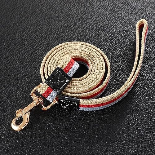 WALDOR Leash Use Tips