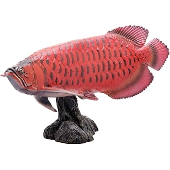 Amazon カロラータ サメの仲間 フィギュア 立体図鑑 魚 リアル フィギュアボックス 解説書付き 食品衛生法クリア 12種 フィギュア ドール 通販