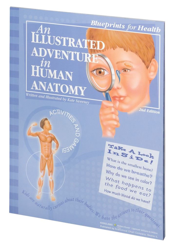 An Illustrated Adventure in Human Anatomy - Image 2