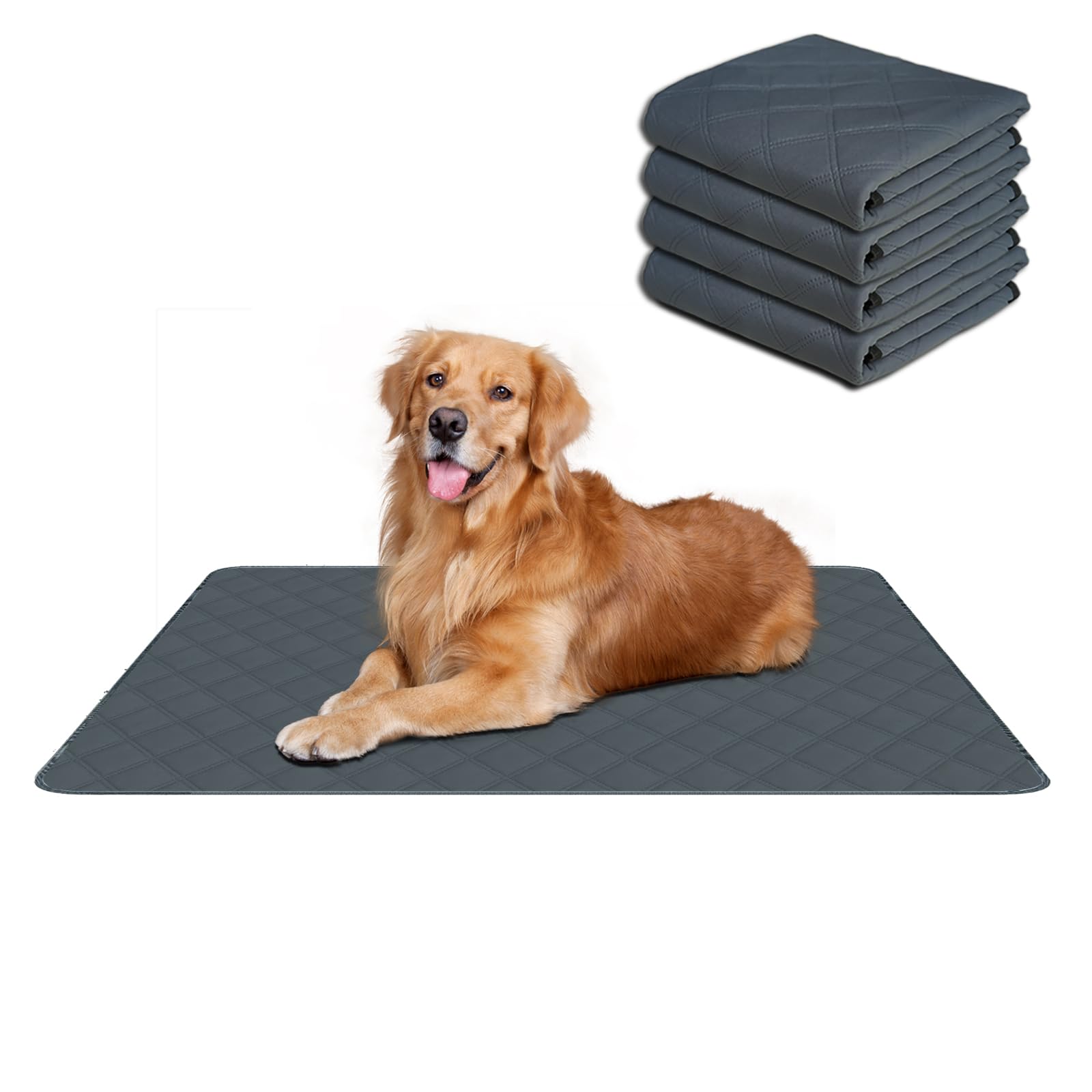 RIOUSSI Washable Pee Pads for Dogs, Reusable, Absorbent, Leakproof, Non Slip Pet Puppy Pads for Potty Training. Dark Gray, 24x36 Inch(4pack)