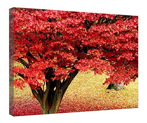 Toile érable rouge encadrée bois idée cadeau crémaillère élégante
