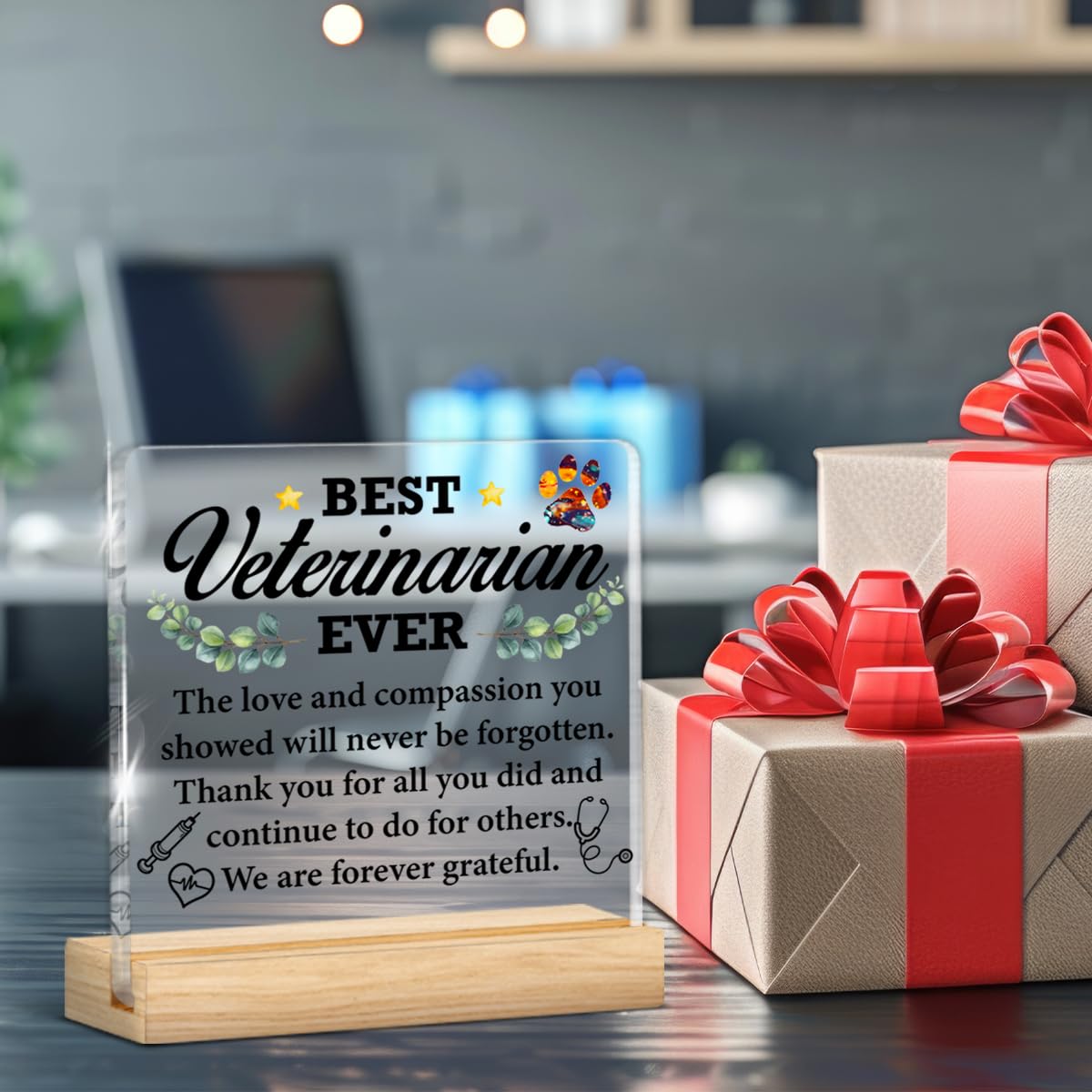 Best Veterinarian Gifts for Women Men, Thank You Gift for Veterinarians Veterinary Vet Tech Animal Doctor, Best Veterinarian Ever Gifts Acrylic Plaque Sign Decor