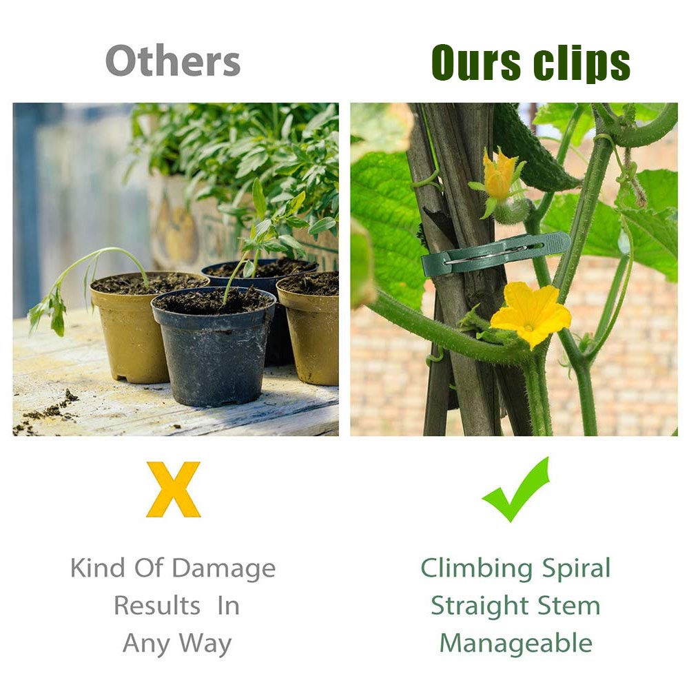 100 Pezzi Clip per Piante Verde, Clip Supporto Piante 2 x 2,6 cm e 3 x 3,6 cm, Riutilizzabili Clip Piante Rampicanti per Piante Pomodori, Plant Clips da Giardino per Sostenere Piante