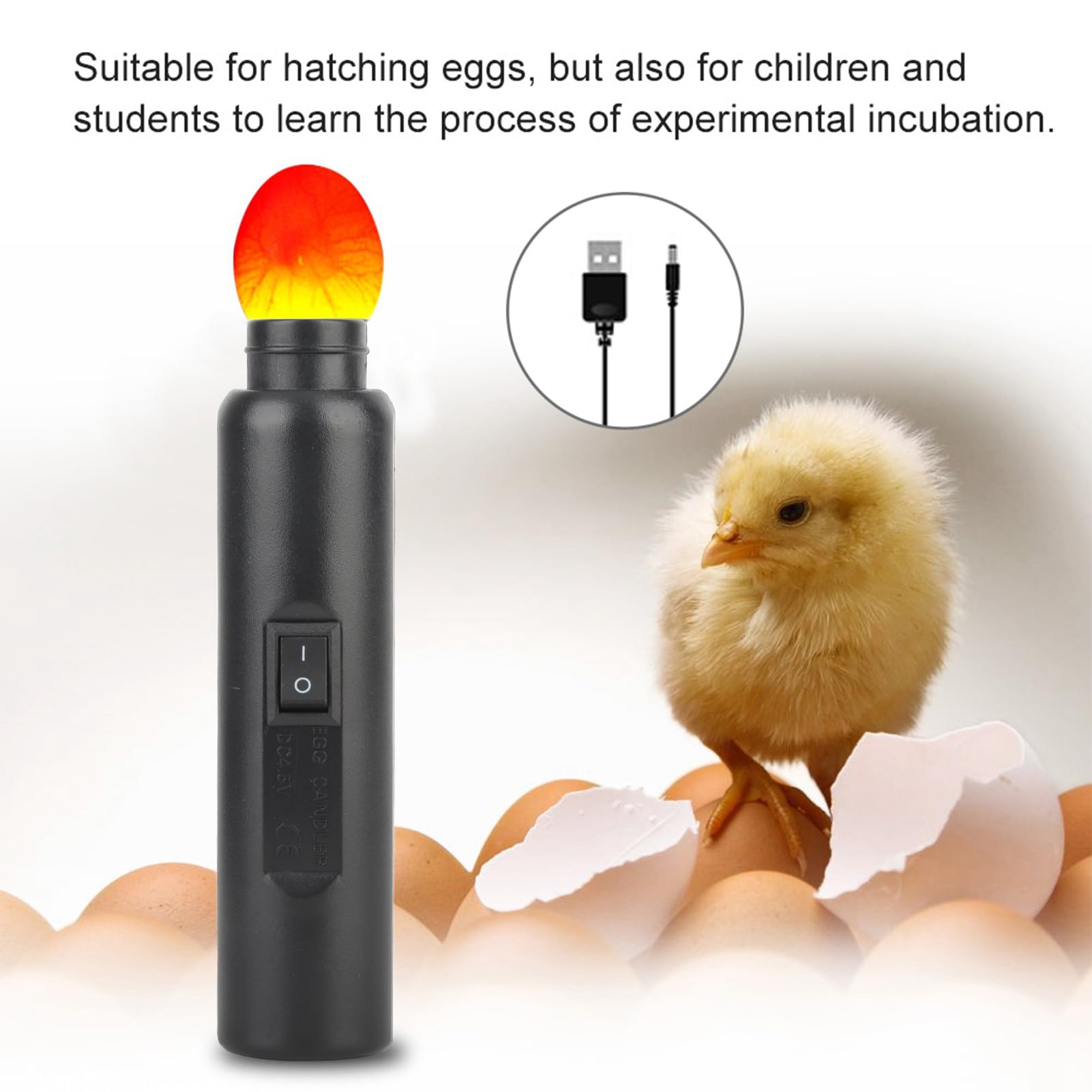 CYTGOUPER ABS LED Light Egg Candler Tester,2 Charging Methods Egg Candling Torch,Black Egg Incubator for Egg Hatching Experimental Monitoring The Development of The Embryo - Image 4