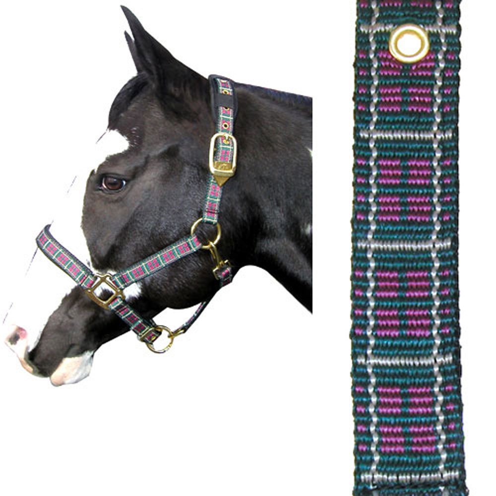 Intrepid International Plaid - Halter de Caballo Acolchado de Nailon