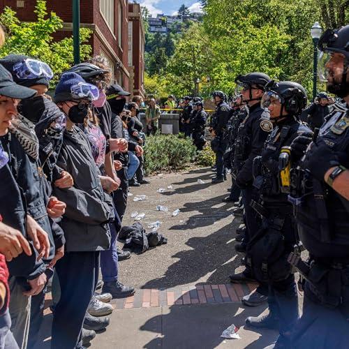 An America Without Police is Safer Than You Think