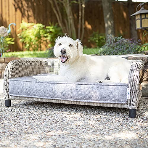 La-Z-Boy-Sunny-Indoor-Outdoor-Lounger-for-Pets-up-to-50-Lbs-34-x-22