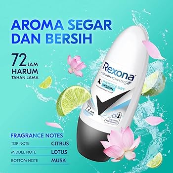 レクソナ Rexona INVISIBLE DRY 制汗防臭体臭 10本新作 Amazon.co.jp: レクソーナ(女性用)制汗剤ロールオンタイプ 40ml