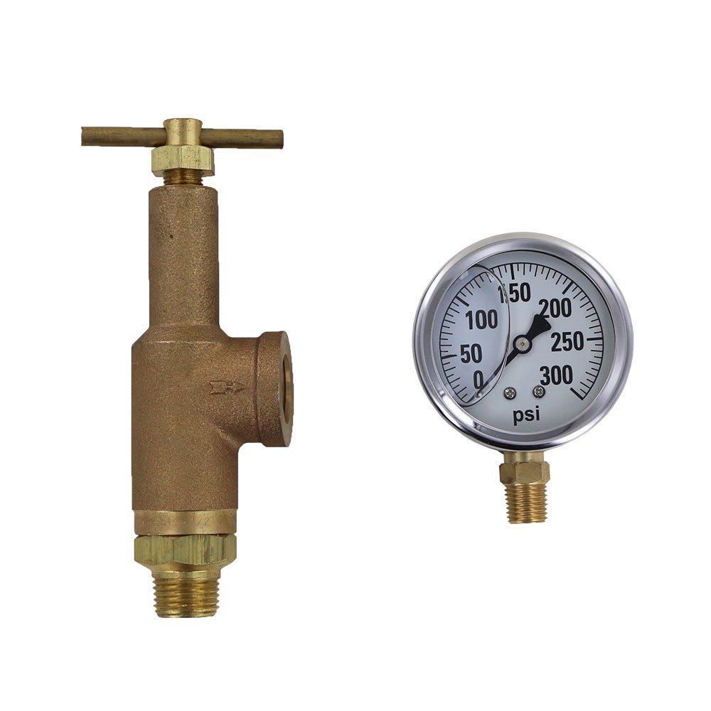 TeeJet 6815-1/2-HSS-300 Brass Pressure Regulator with 300 PSI Pressure Gauge (Bundle, 2 Items)