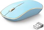 J JOYACCESS Silent Wireless Mouse, Portable Wireless Computer Mouse with 5 Adjustable DPI Levels, USB Mouse for Desktop, Notebook, MacBook, Chromebook, PC (Black Gold)
