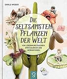 klein & gro� Verlag