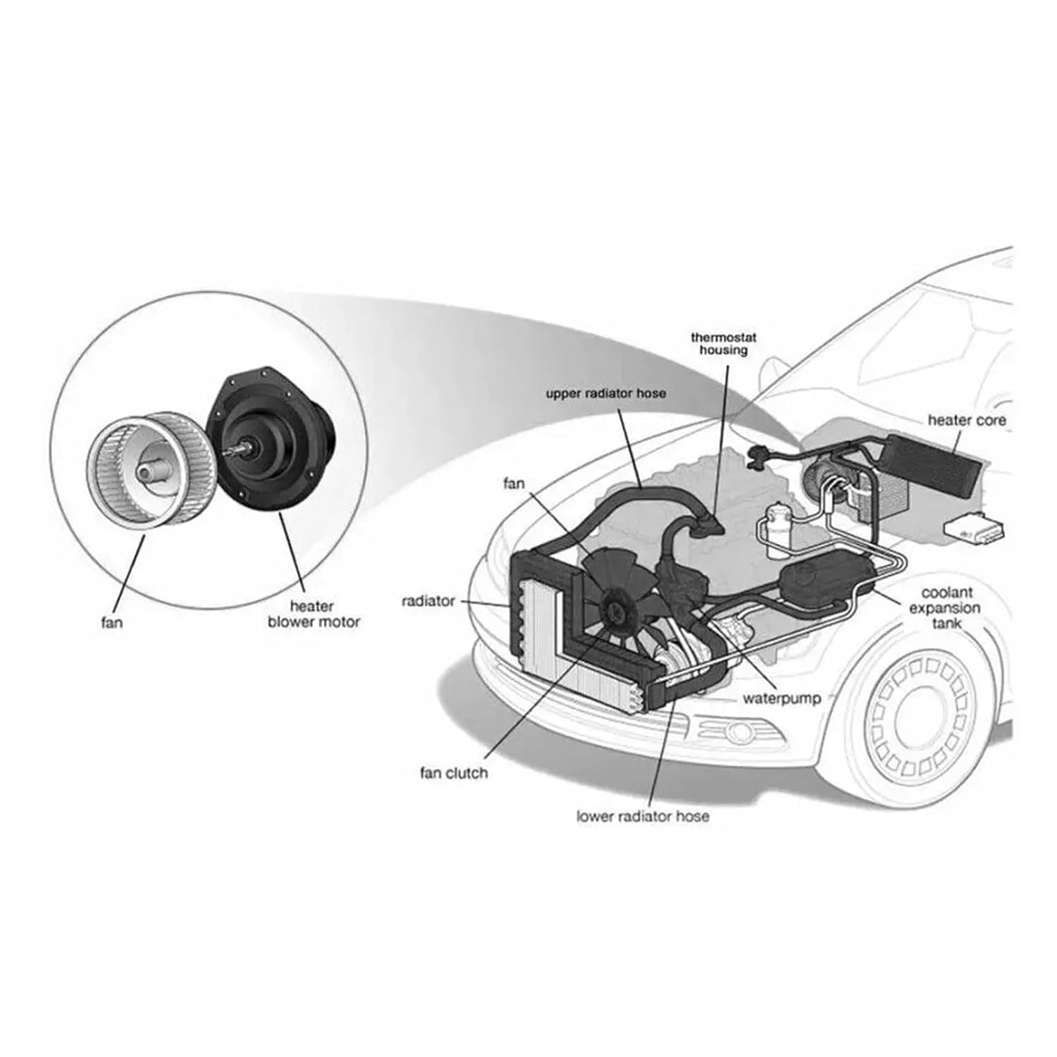 Buy AC Heater Blower Motor GM New Oem 19179474 52498873 Astro Blazer Safari Jimmy In Bellingham