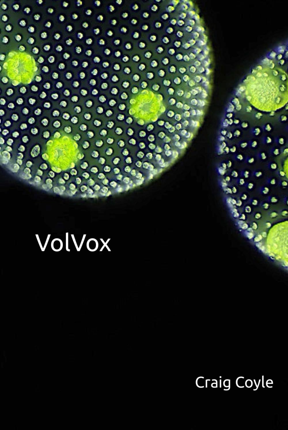 VolVox