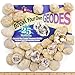 Dancing Bear 25 Break Your Own Geodes, 90% Hollow-Small ( 1-1.5") Crack Open & Discover Amazing Surprise Crystals Inside! Educational Info and Instructions Included, Fun Party Favors & Prizes, Brand
