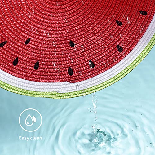 Funwheat Round Placemats Set Of 6 Table Mats For Dining Tables Washable Non-Slip Place Mats 15 Inch For Summer(Watermelon) #TOP2