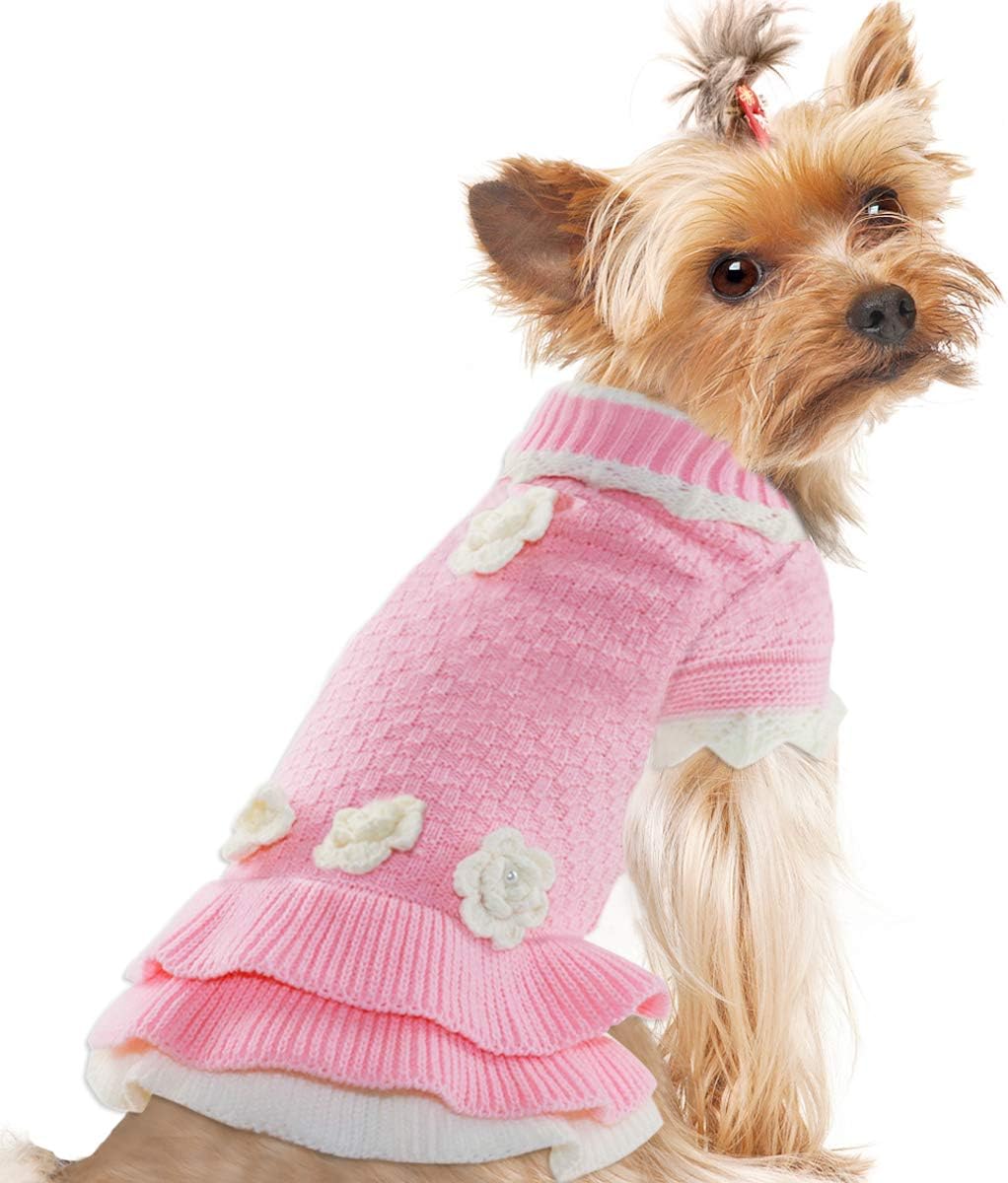 chewy sweaters for small dogs