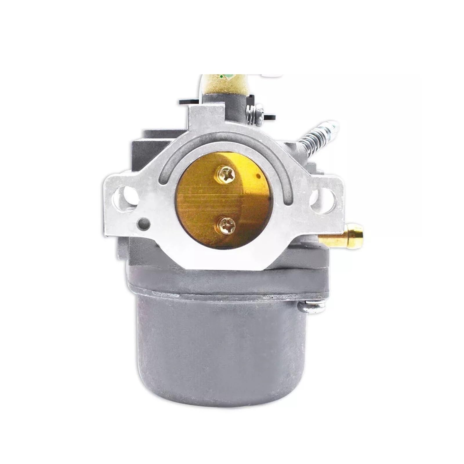 Carburateur de rechange 799728 pour réparer votre tondeuse Briggs et Stratton avant le printemps