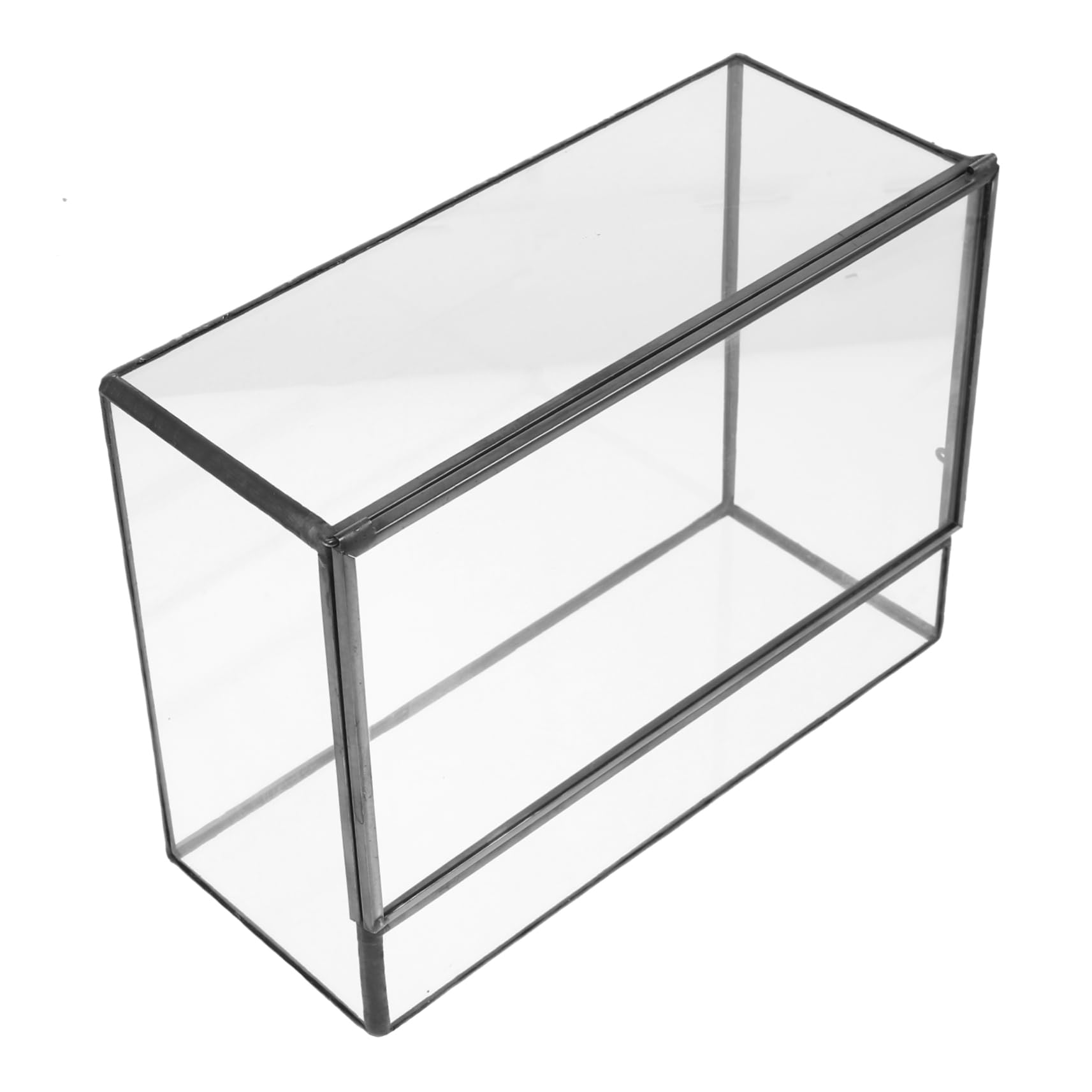 Terrarium in Vetro Geometrico per Piante, Decorazione Tavolo