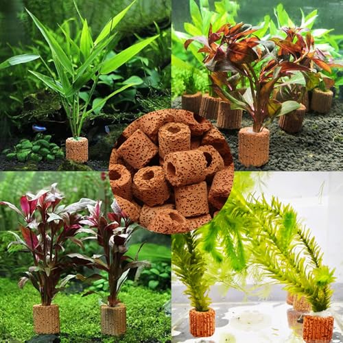 Aquarium Ring Wasserpflanzen,15 Stück Aquarium Filter Ringe,Filtermedium Filtermaterial,Aquarium Zubehör,Aquarium Filter Ringe,Aquarium Wasserflora Landschaftsbau Aquarium Keramikringe Aquarium Deko