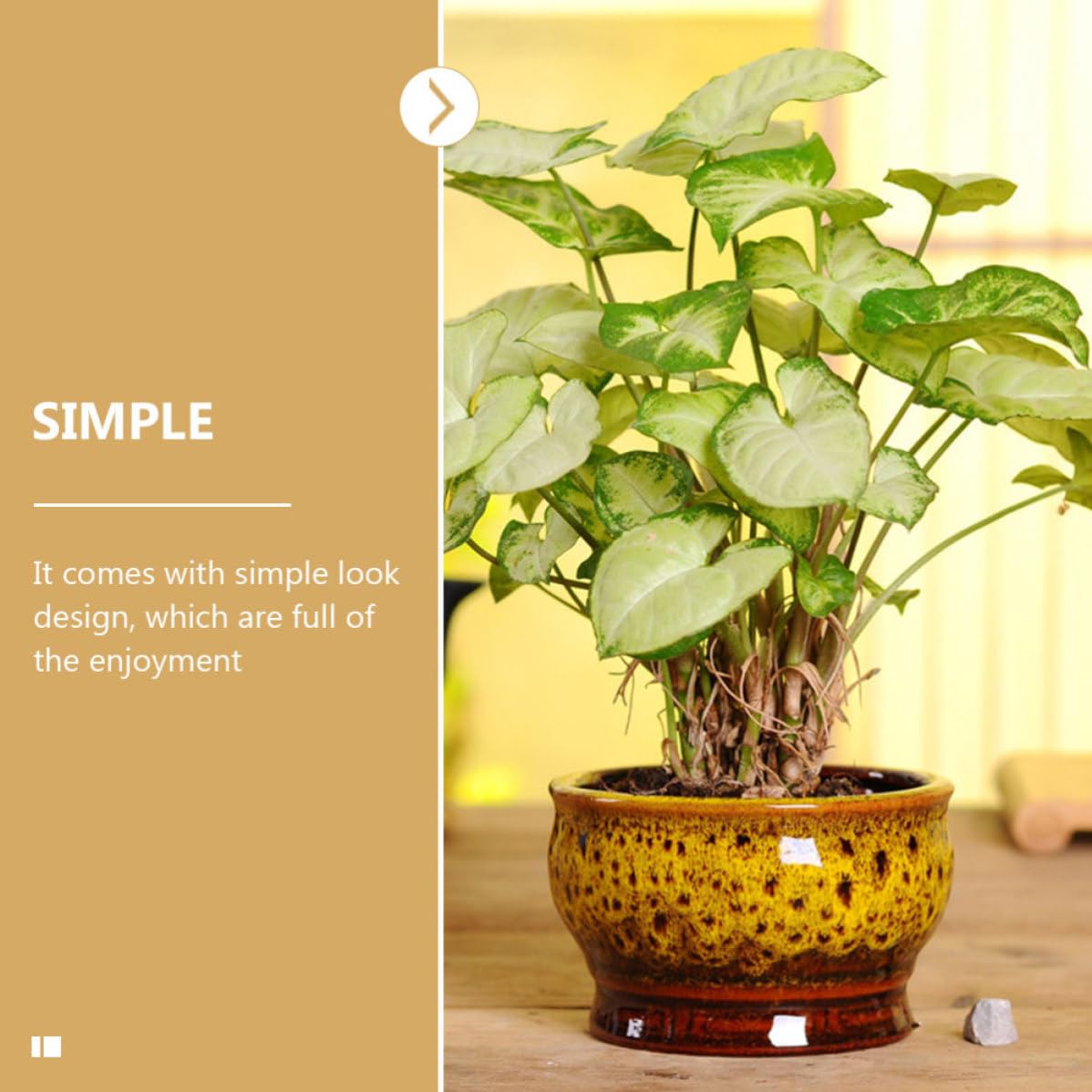 Toyvian 5 Stück Kleiner Sukkulententopf aus Keramik Dekorativer Blumentopf für Sukkulenten und Kakteen Schlichtes Design für Wohnbereich Fein Verarbeitet
