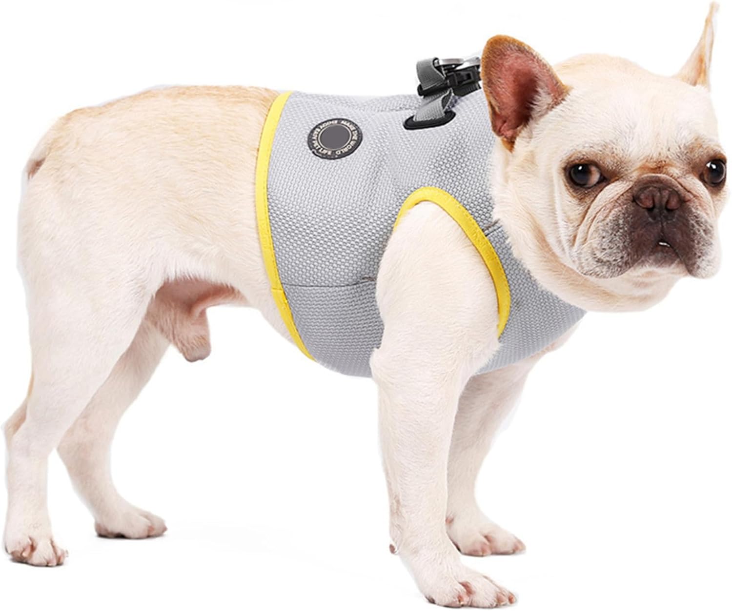 balacoo Pet Cooling Harness Vest for Dogs Lightweight Breathable Summer Cooler Jacket Reflective Stripes for Outdoor Activities Keeps Pets Cool and Comfortable