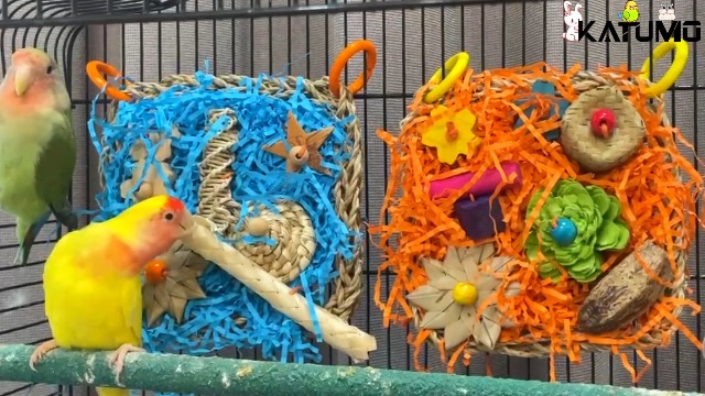 KATUMO Bird Toys, Conure Grass Mat Shredder Toys Parakeet Toys Parrot Foraging Toys for Cockatiel Conure Lovebird Parakeet Small to Medium Birds - image 8