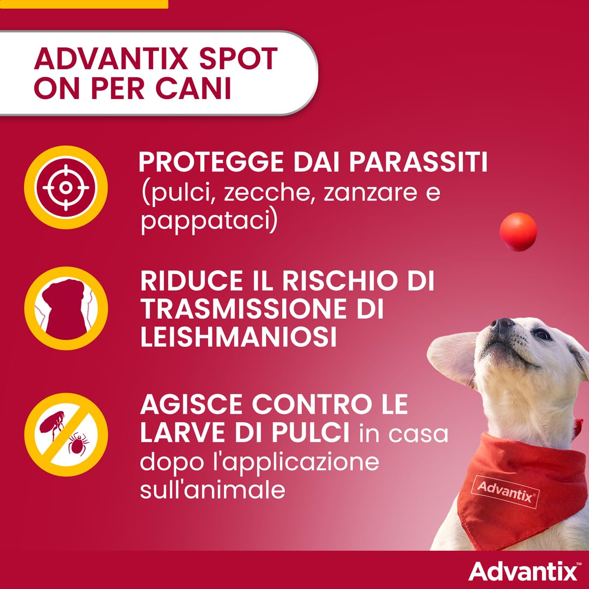 Advantix Petit Chien - 4 à 10 kg - 6 pipettes