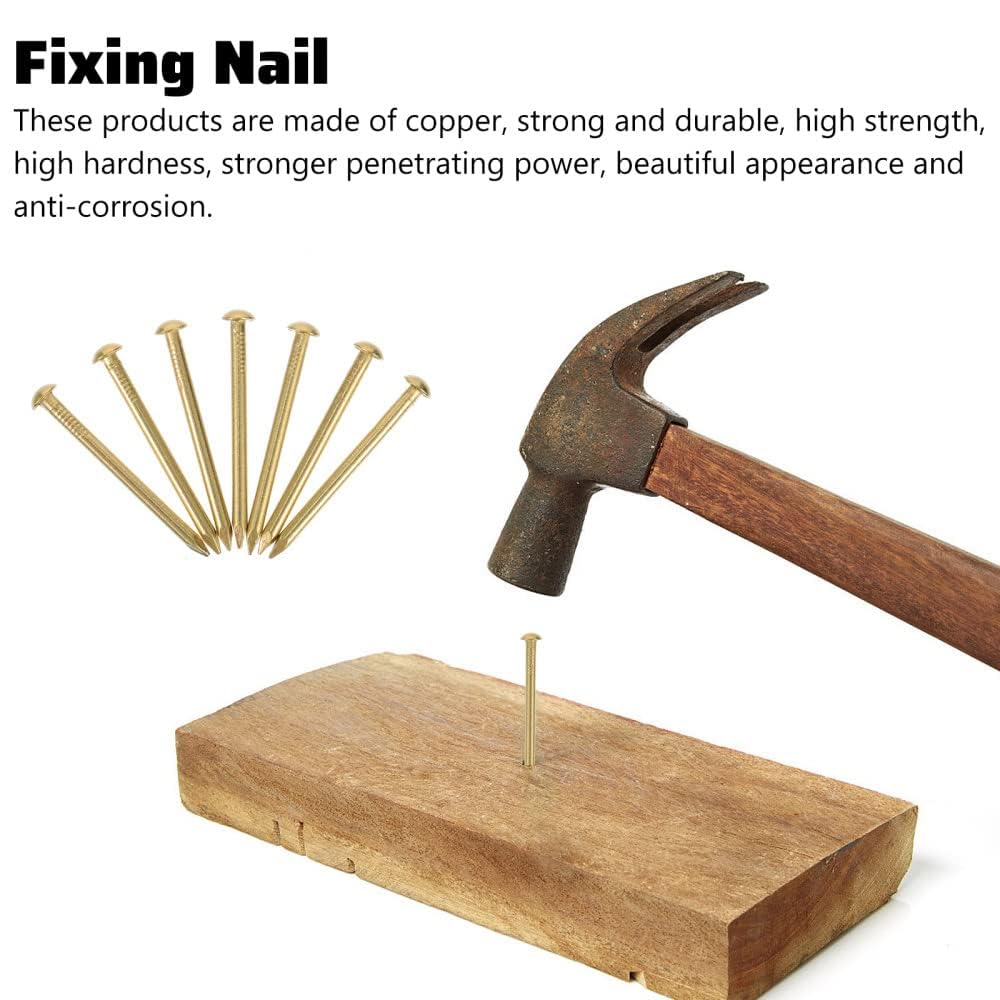Kleine Nägel 150g (ca. 600 Stück) Rundkopfstifte Nägel 20mm Gold Vermessingte Nägel Mininägel Holznägel Nicht Leicht Verbiegen Brechen für DIY Hardware Scharnier Zubehör Befestigungen