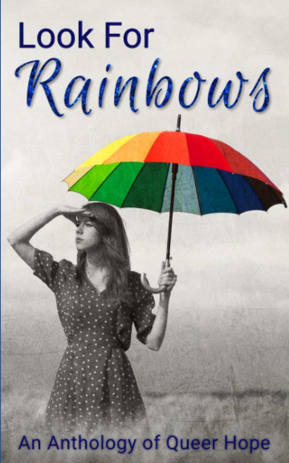 Look For Rainbows: An Anthology of Queer Hope (QStory Northampton LGBTQIA Anthologies)