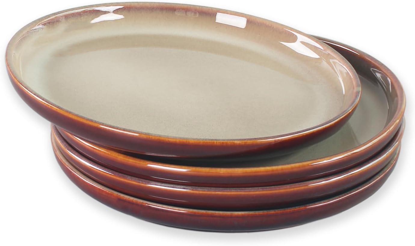 Ceramic Dinner plates Set, Reaction glaze Serving Plate Set of 4, for Appetizer Dinner Salad Dessert Snacks, Microwave and Dishwasher Safe, apply Home & Restaurant, Round 10 Inch