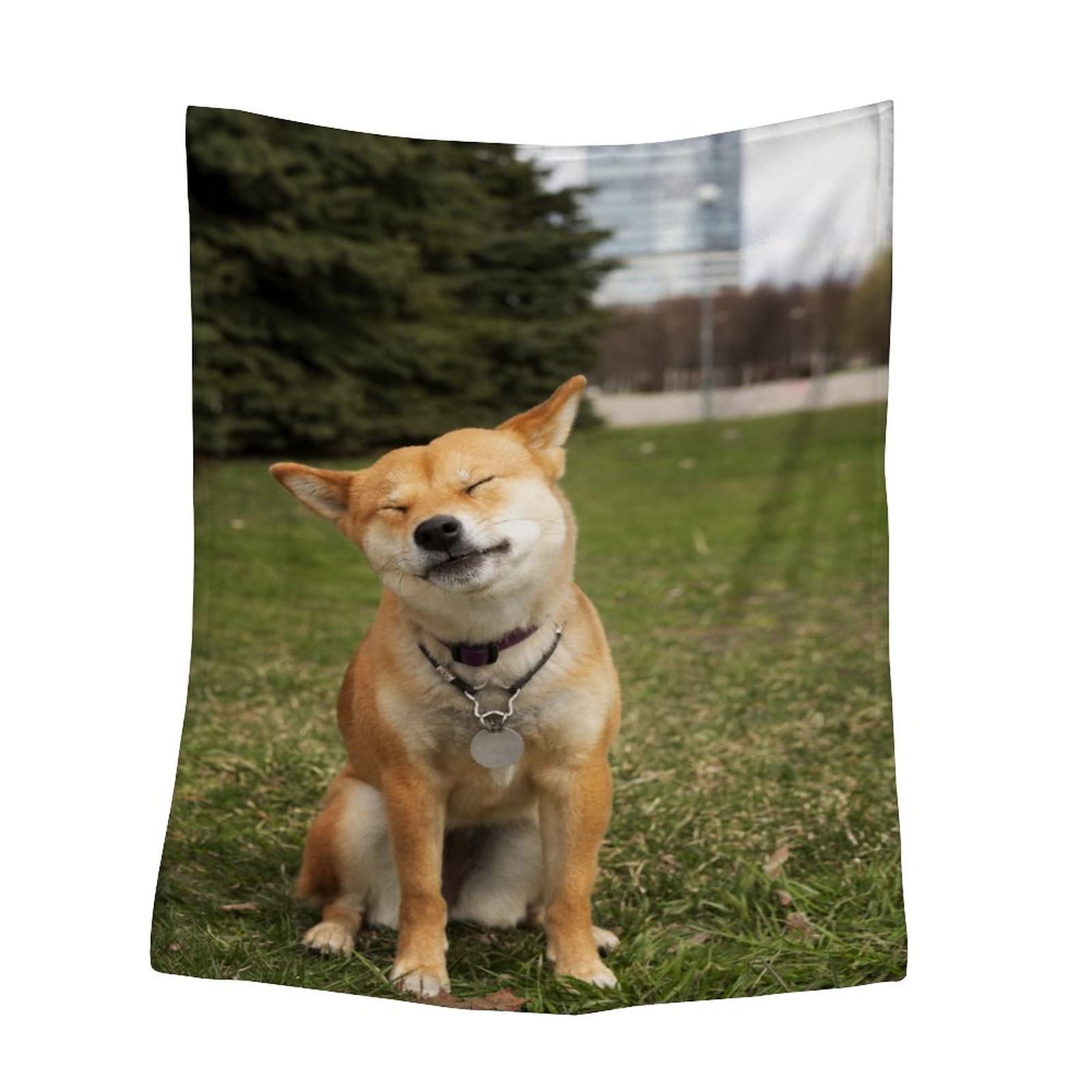 Amazon.com: TIEENER Custom Dog Blanket Photo - Personalized The Weeknd  Blankets Memorial Gifts from Pet with Photos and Name Customized Flannel  Thick Blanket for Couch Throw Blanket Gifts for Dog Lovers :