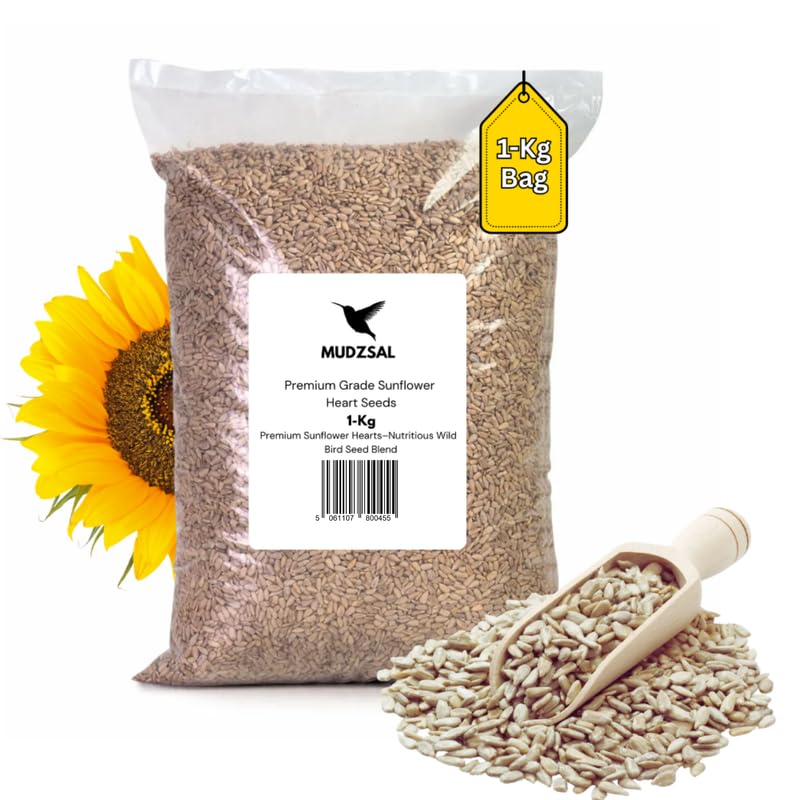 Premium Sunflower Heart Seeds Wild Bird Food – High Energy, No Mess Bird Feed