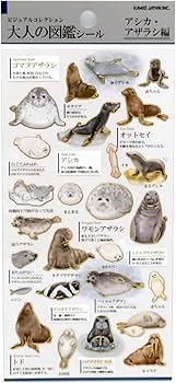 Amazon | カミオジャパン シール 大人の図鑑シール アシカ アザラシ