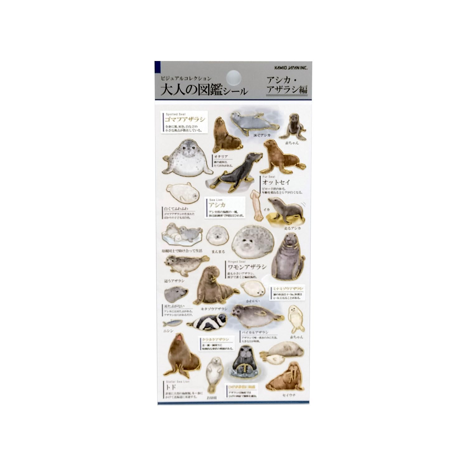 Amazon | カミオジャパン シール 大人の図鑑シール アシカ アザラシ