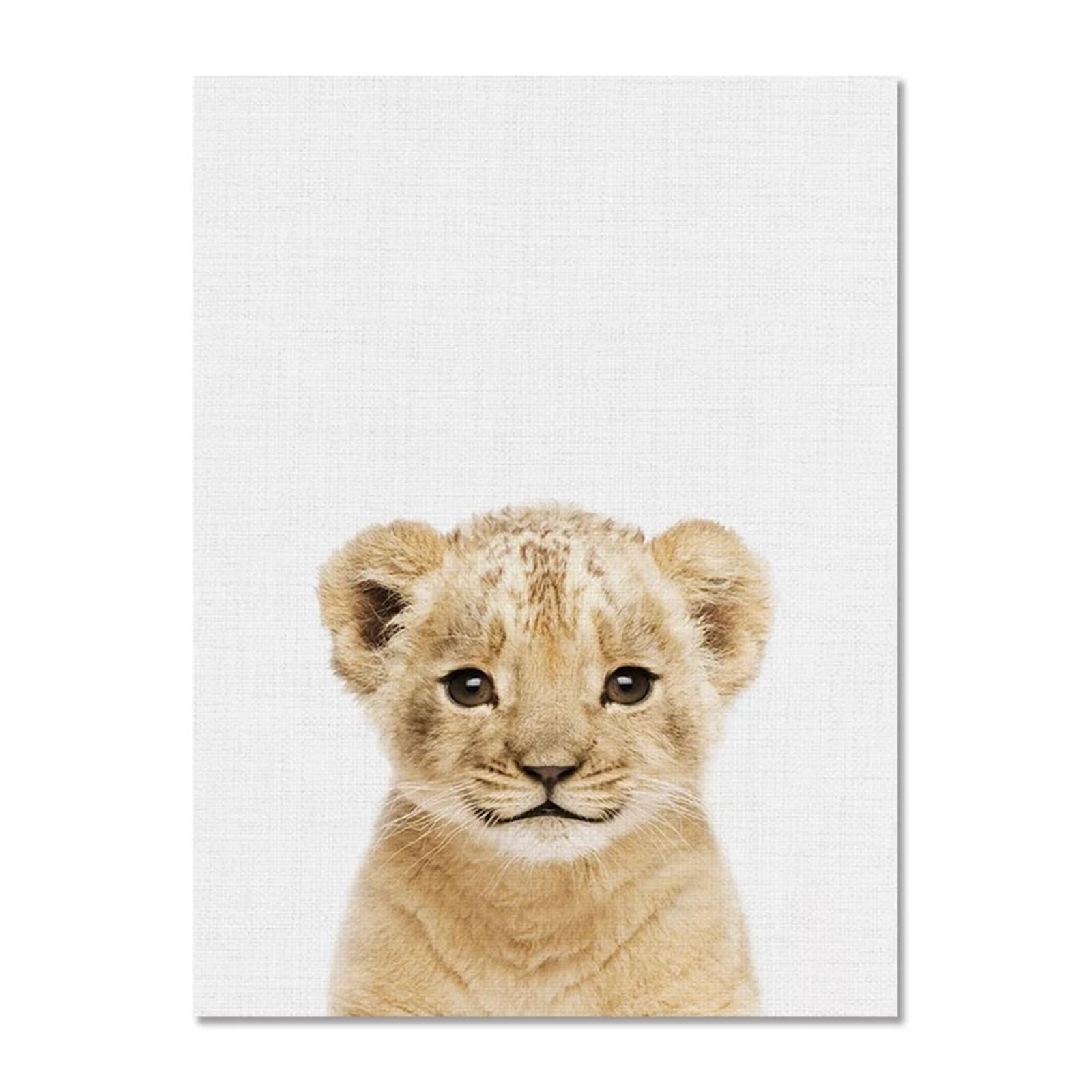 XENITE Wall Art Canvas Prints Canvas Painting Elephant Hippopotamus Giraffe Lion Animal Canvas Painting Decorative Pictures For Living Room Wall Decor(F,50x70cm)