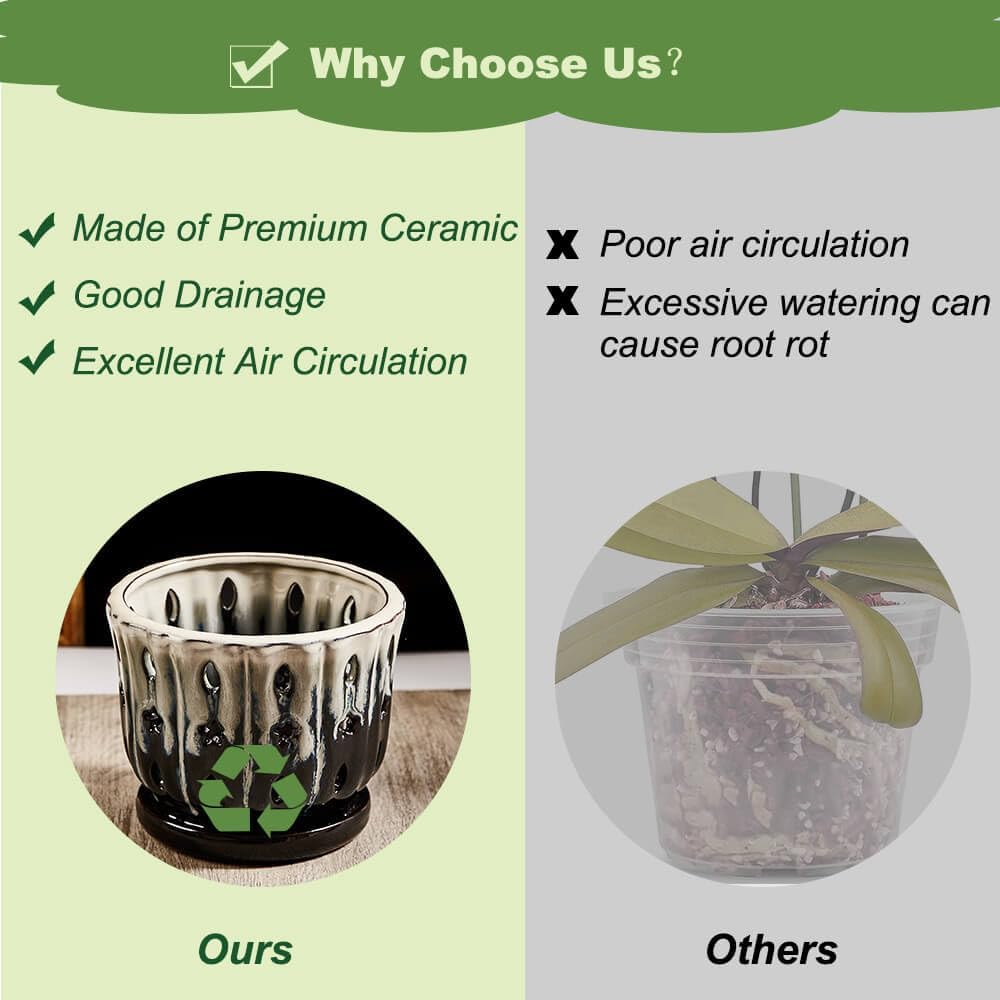 Orchid Pots with Holes Attached Saucers 6 Inches - 1 Pcs Small Ceramic Pots for Repotting, Decorative Ceramic Orchid Planter with Hole for Healthy Root Growth White Over Black