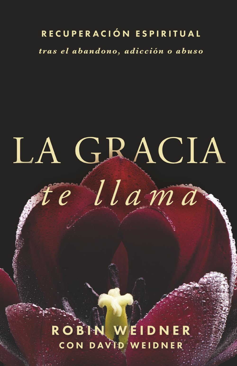 LA GRACIA te llama: RECUPERACIÓN ESPIRITUAL tras el abandono, adicción o abuso