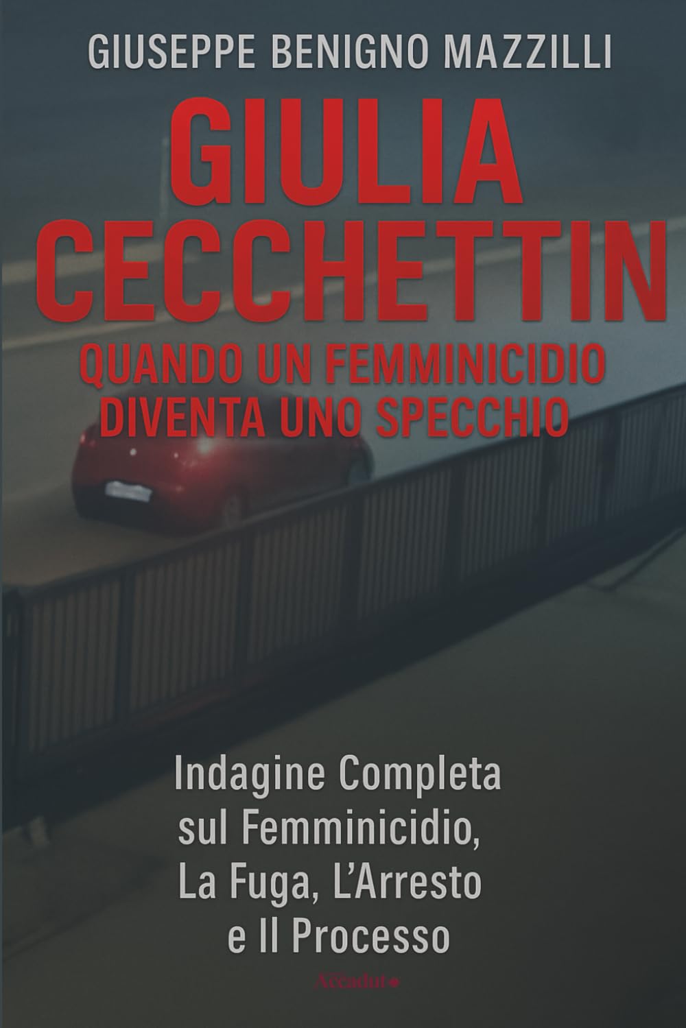 GIULIA CECCHETTIN - QUANDO UN FEMMINICIDIO DIVENTA UNO SPECCHIO: Indagine Completa sul Femminicidio, La Fuga, L’Arresto e Il Processo (Realmente Accaduto)