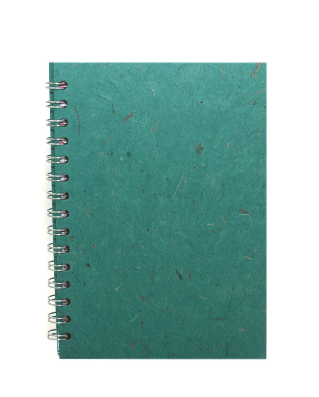 Pink Pig A5 Portrait Posh Banana Pig White Paper Sketchbook - Turquoise