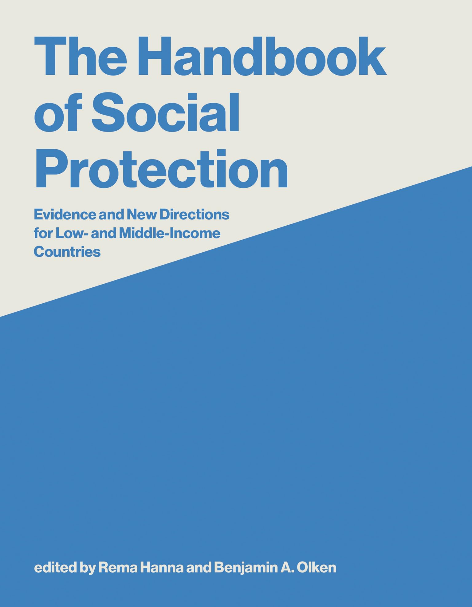 The Handbook of Social Protection: Evidence and New Directions for Low- and Middle-Income Countries (English Edition)